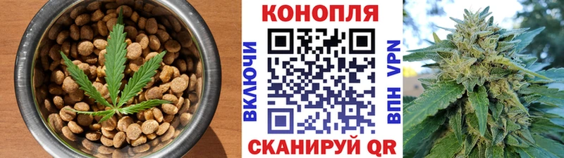 ссылка на мегу вход  цена наркотик  Раменское  дарк нет состав  Cannafood конопля 
