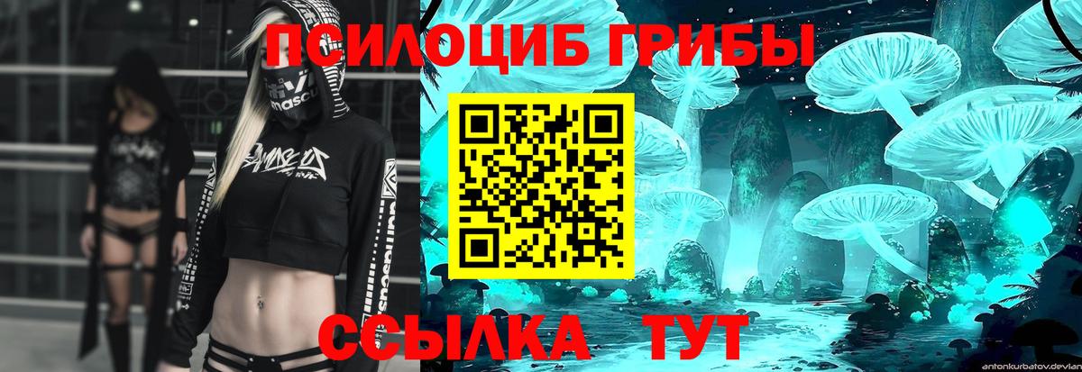 Раменское  Галлюциногенные грибы Psilocybe  Вход с VPN 